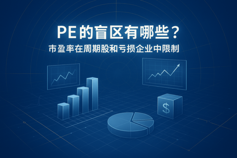 市盈率盲区